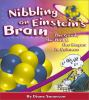 Nibbling_on_Einstein_s_brain