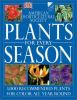 AHS_plants_for_every_season