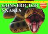 Constrictor_snakes