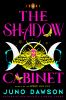 The_shadow_cabinet