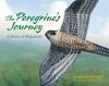 The_peregrine_s_journey