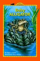 Baby_alligator