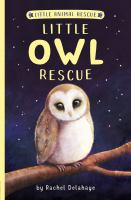 Little_owl_rescue